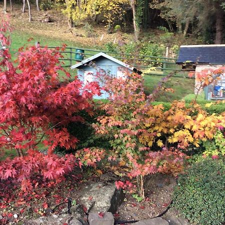Tan Y Graig Bed & Breakfast Meifod Luaran gambar