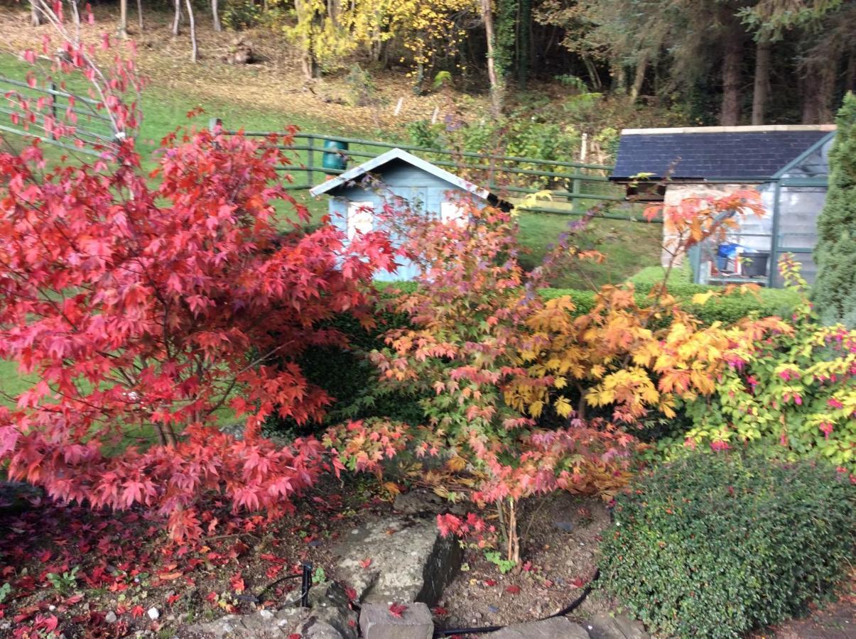 Tan Y Graig Bed & Breakfast Meifod Luaran gambar