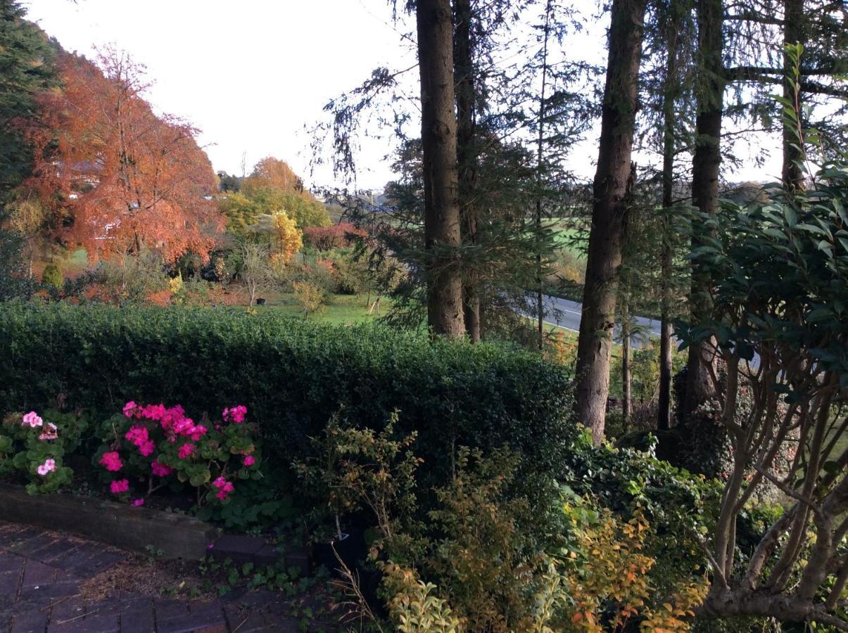 Tan Y Graig Bed & Breakfast Meifod Luaran gambar