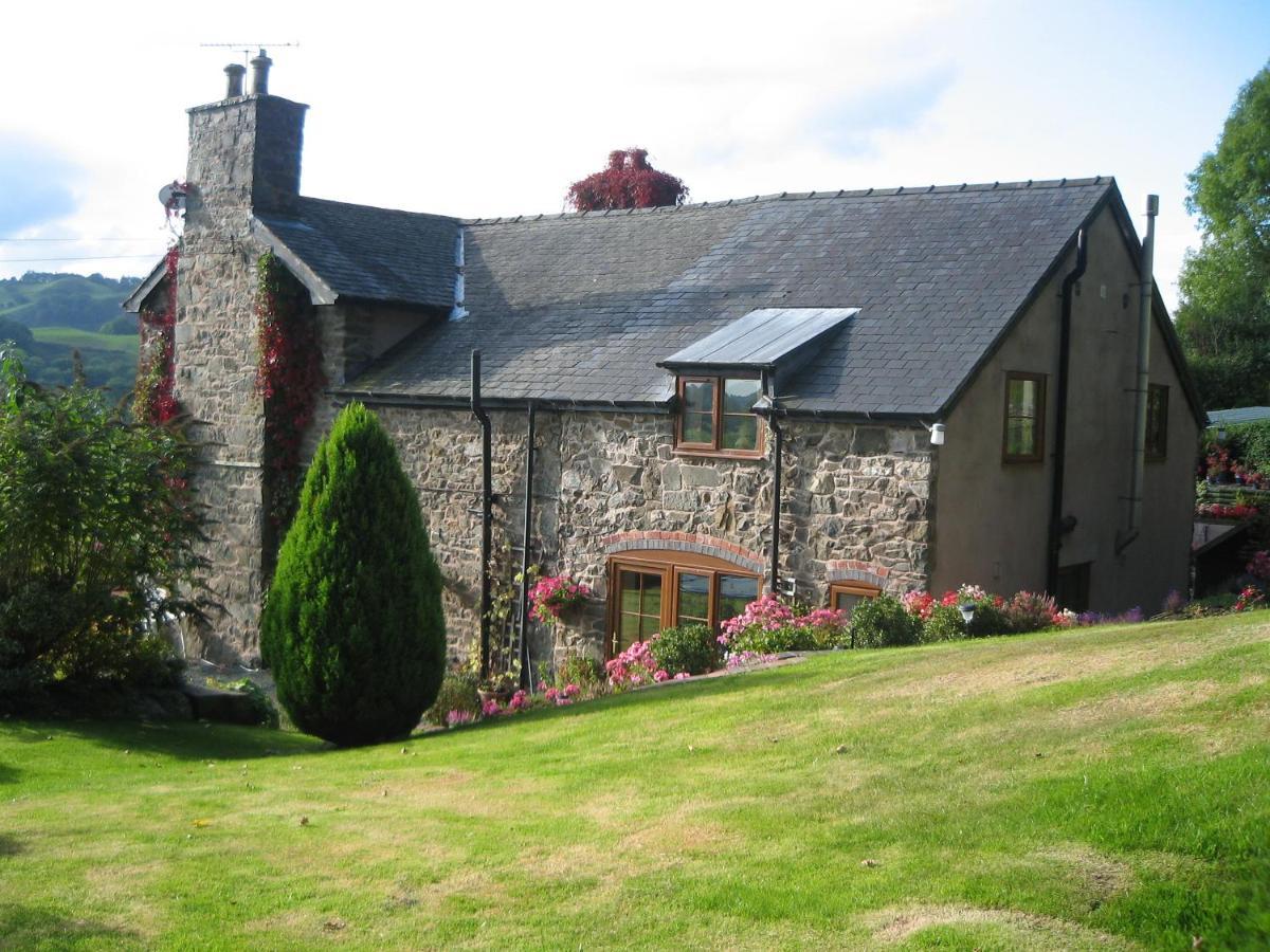 Tan Y Graig Bed & Breakfast Meifod Luaran gambar