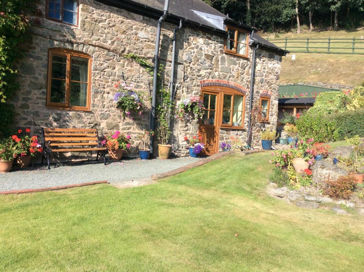 Tan Y Graig Bed & Breakfast Meifod Luaran gambar