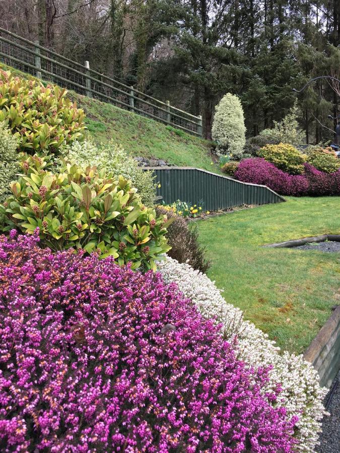 Tan Y Graig Bed & Breakfast Meifod Luaran gambar
