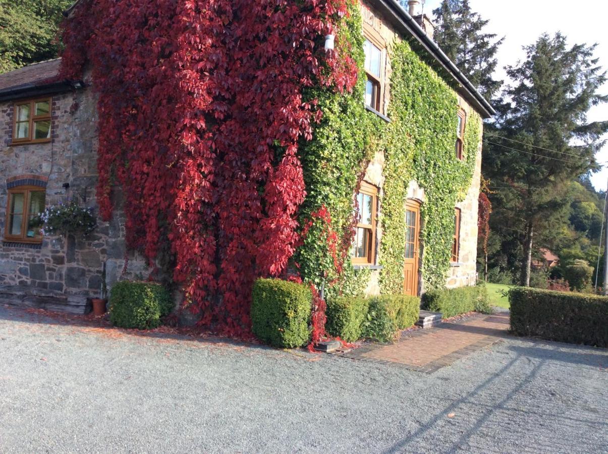 Tan Y Graig Bed & Breakfast Meifod Luaran gambar
